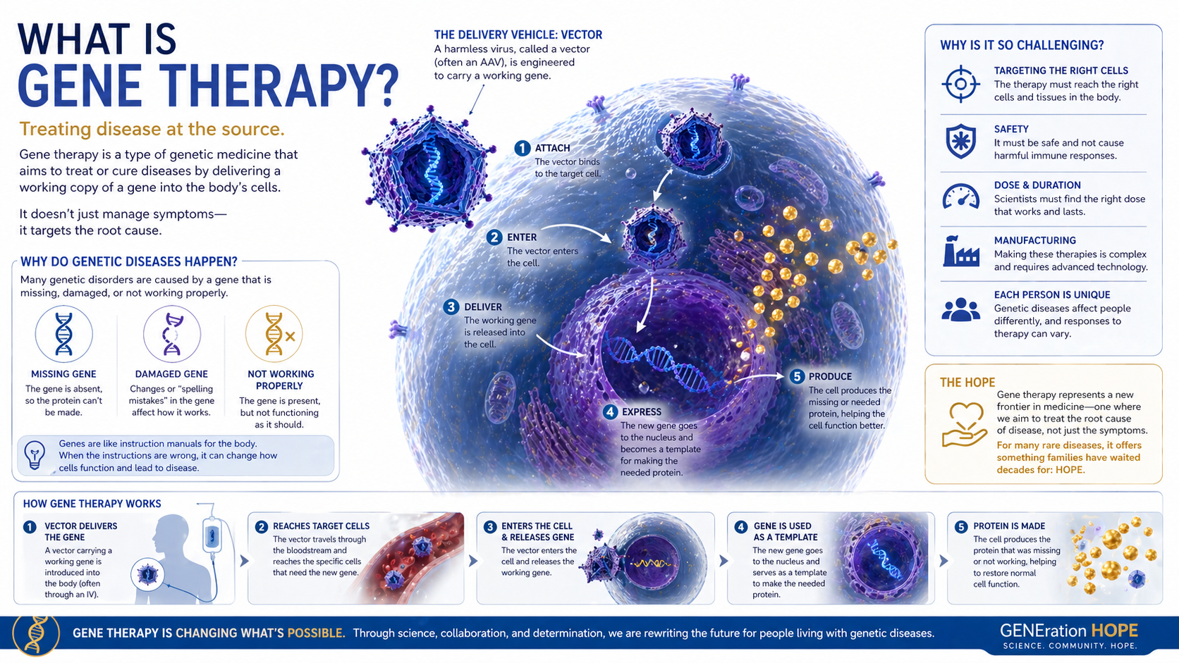 What Is Gene Therapy? explainer visual