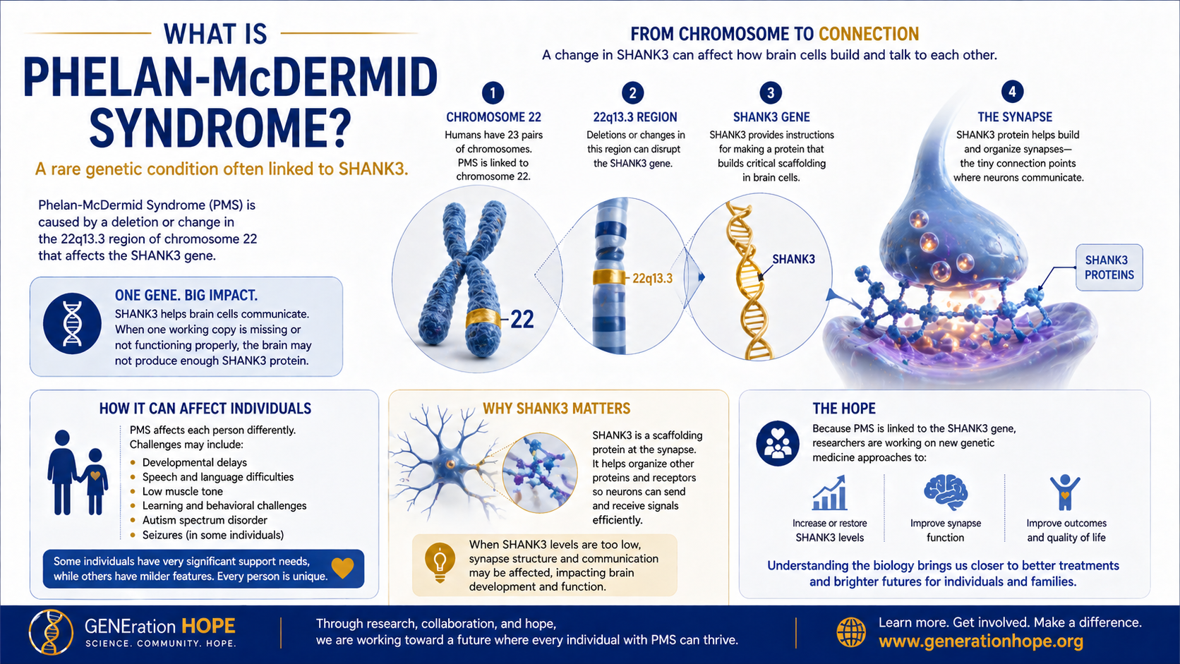 What Is Phelan-McDermid Syndrome? explainer visual