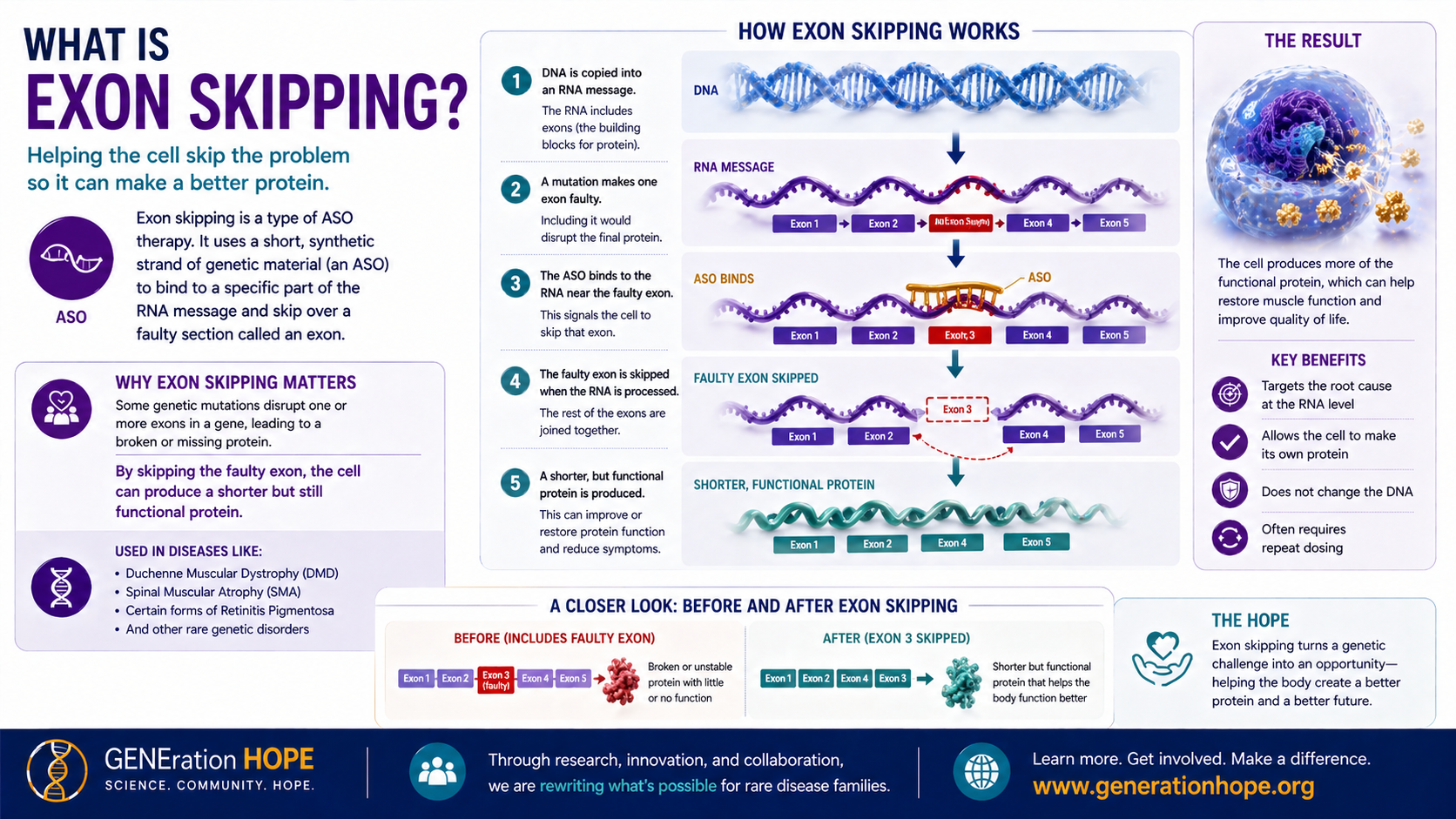 What Is Exon Skipping? explainer visual