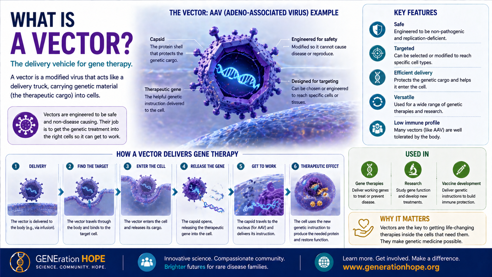What Is a Vector? explainer visual