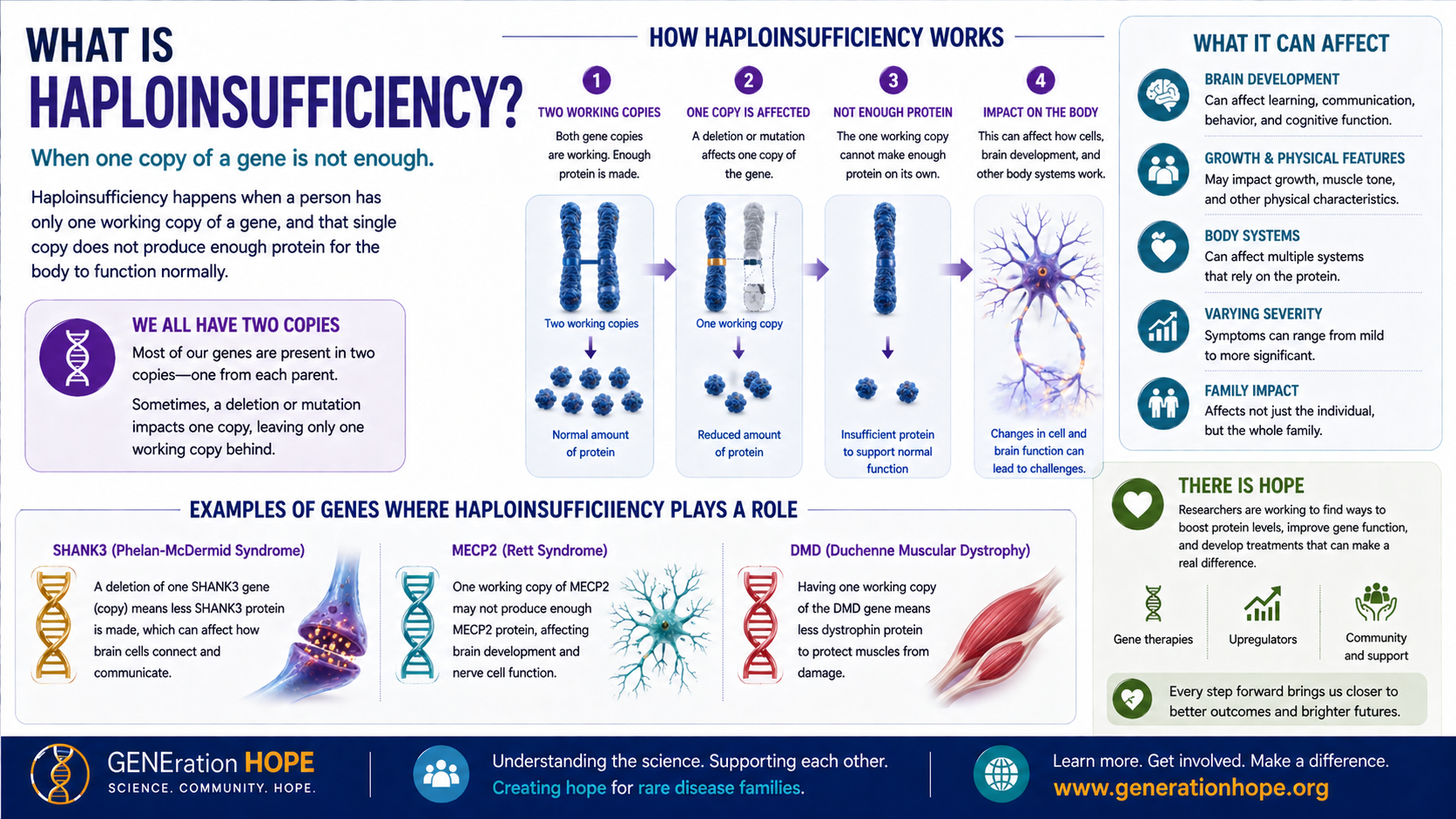 What Is Haploinsufficiency? explainer visual